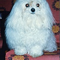 08.jpg