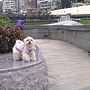 IMAG0380-1.jpg IMAG0380-1.jpg