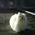 DSC00034.JPG