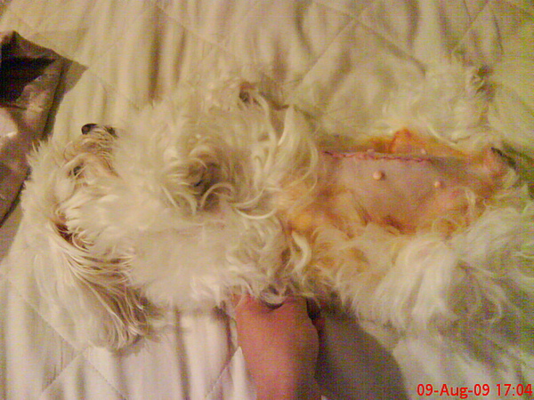 DSC00257.JPG DSC00257.JPG