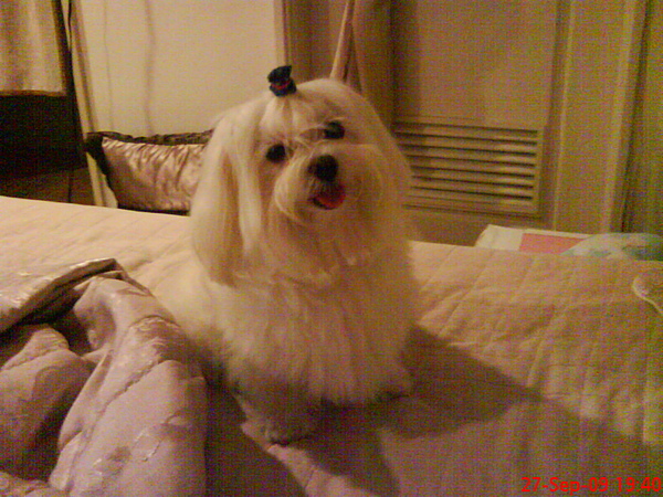 DSC00267.JPG DSC00267.JPG