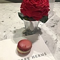 【新濠影匯】Pierre Hermé Parisd