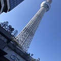 Skytree