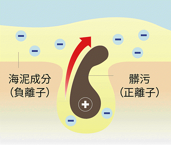 泥拔黑頭.gif 泥拔黑頭.gif