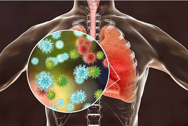 2020-01-29_214802.jpg 2020-01-29_214802.jpg