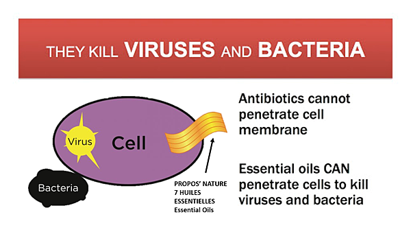 圖片2.png 圖片2.png