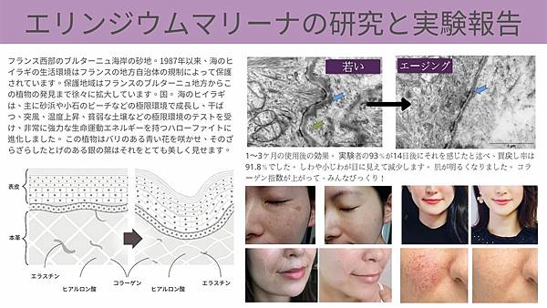 report.jpg report.jpg