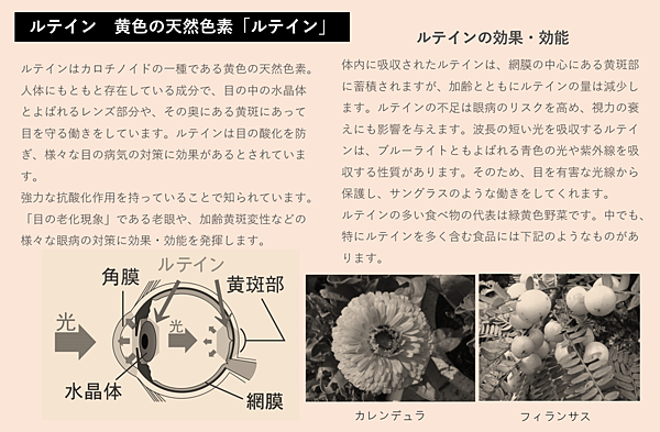 圖片1.png 圖片1.png