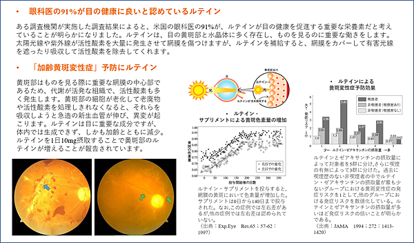 圖片3.png 圖片3.png