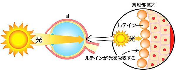 圖片4.jpg 圖片4.jpg