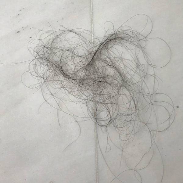 hairfloor2.jpg hairfloor2.jpg