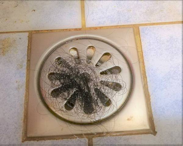 bathroom hair.jpg bathroom hair.jpg