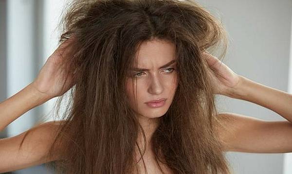 DRIED HAIR.jpg DRIED HAIR.jpg