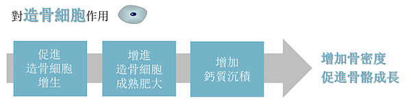 截圖 2022-09-01 下午3.30.52.png