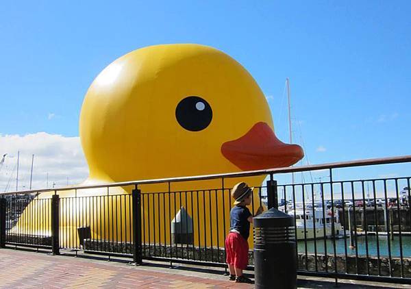 DUCK DUCK