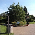 Niagara Fall Park.JPG