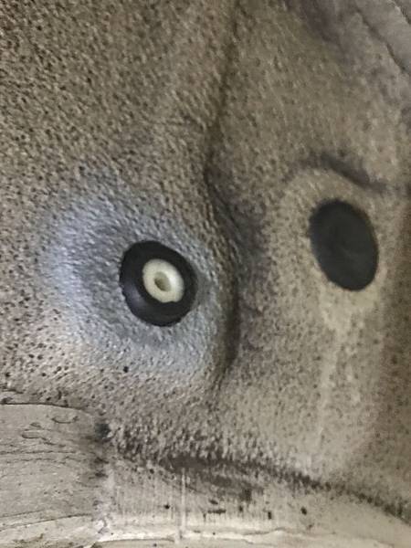 IMG_5635.JPG IMG_5635.JPG