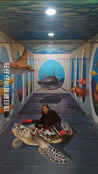 P_20170129_155944.jpg P_20170129_155944.jpg