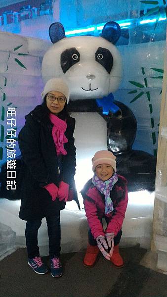 P_20170129_164733.jpg P_20170129_164733.jpg