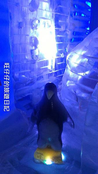 P_20170129_165315.jpg P_20170129_165315.jpg