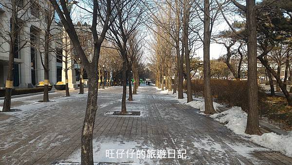 P_20170130_112510.jpg P_20170130_112510.jpg