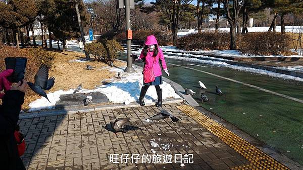 P_20170130_145736.jpg P_20170130_145736.jpg