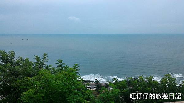 P_20170716_094723.jpg P_20170716_094723.jpg