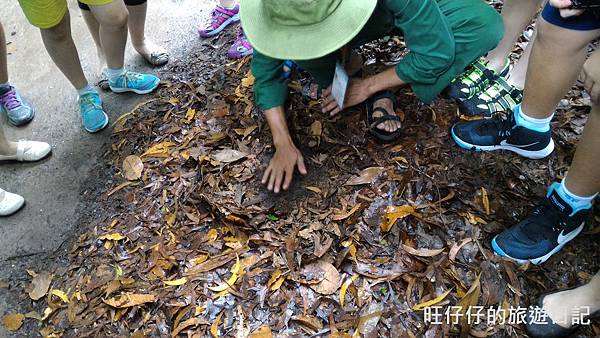 P_20170717_084748.jpg P_20170717_084748.jpg