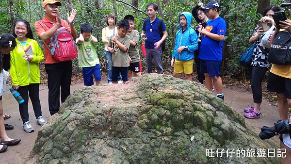 P_20170717_090331.jpg P_20170717_090331.jpg