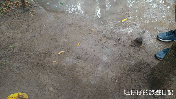 P_20170717_092139.jpg P_20170717_092139.jpg