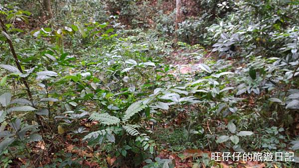 P_20170717_094449.jpg P_20170717_094449.jpg