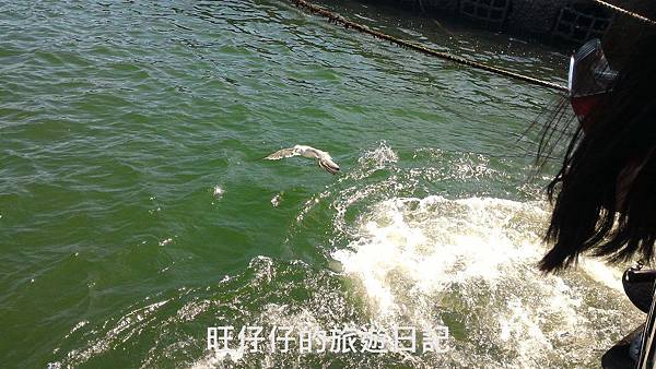 P_20170823_140653.jpg P_20170823_140653.jpg