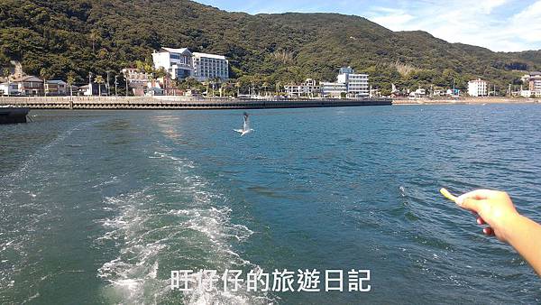 P_20170823_140902.jpg P_20170823_140902.jpg