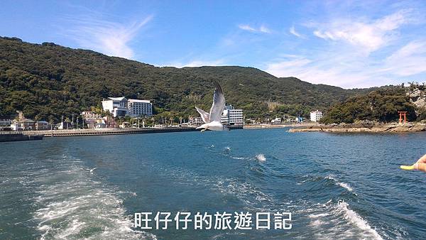 P_20170823_140925.jpg P_20170823_140925.jpg