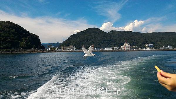 P_20170823_141240.jpg P_20170823_141240.jpg