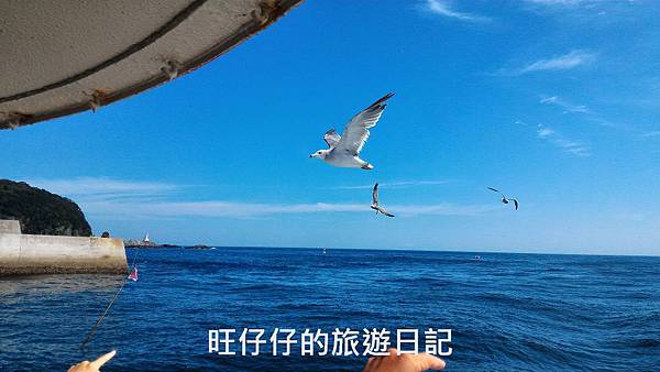 P_20170823_141819.jpg P_20170823_141819.jpg