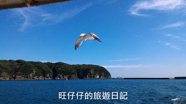 P_20170823_141925.jpg P_20170823_141925.jpg