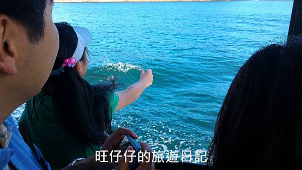 P_20170823_142033.jpg P_20170823_142033.jpg