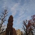 IMG_0858.JPG