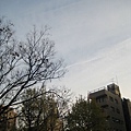 IMG_0859.JPG