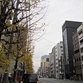 IMG_3957.JPG