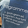 Programmer