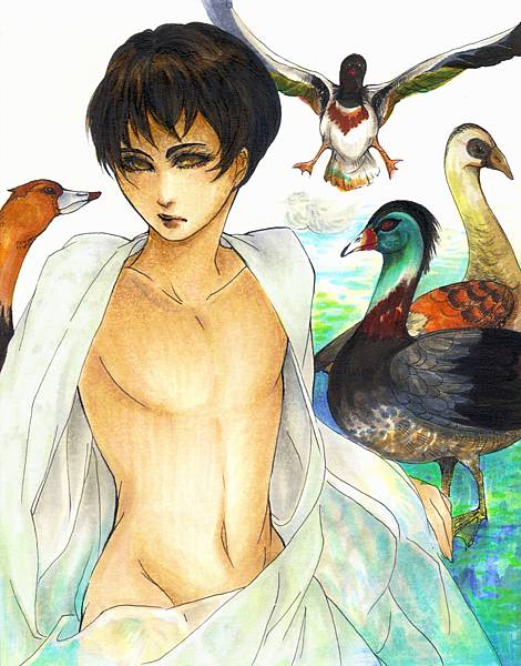 bird3.jpg bird3.jpg