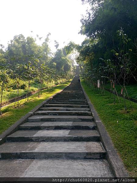 DSC_4013.JPG DSC_4013.JPG