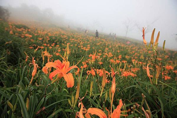 人文美景不錯過!台東三天兩夜私房行程推薦! 人文美景不錯過!台東三天兩夜私房行程推薦!