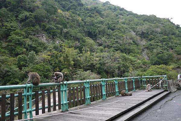人文美景不錯過!台東三天兩夜私房行程推薦! 人文美景不錯過!台東三天兩夜私房行程推薦!