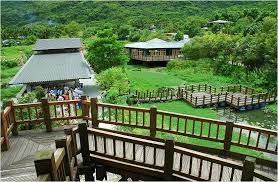 【花蓮金針花季】滿山遍野的金針花，慢活享受三天兩夜！