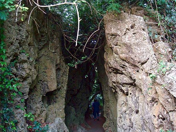 夏天就是要去墾丁旅遊!墾丁三天兩夜超充實 夏天就是要去墾丁旅遊!墾丁三天兩夜超充實