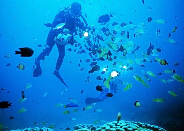 夏天就是要去墾丁旅遊!墾丁三天兩夜超充實 夏天就是要去墾丁旅遊!墾丁三天兩夜超充實