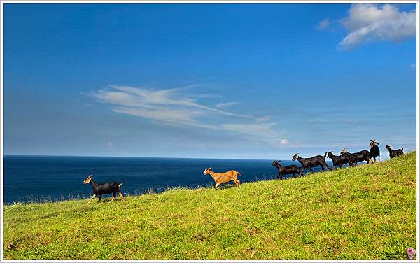 夏天就是要去墾丁旅遊!墾丁三天兩夜超充實 夏天就是要去墾丁旅遊!墾丁三天兩夜超充實